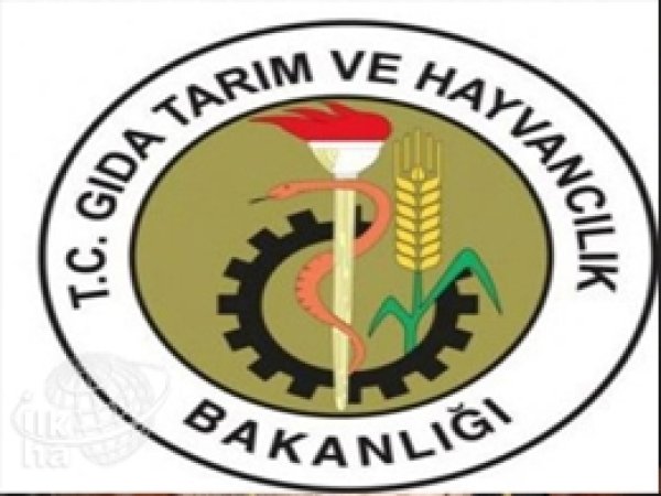 Bakanlıktan Peynirde İçyağı Açıklaması