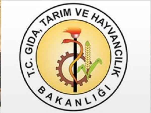Yanıltıcı Reklamlara İnceleme