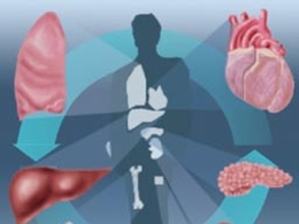 'Organ Bağışı Konusunda Duyarlı Olalım'