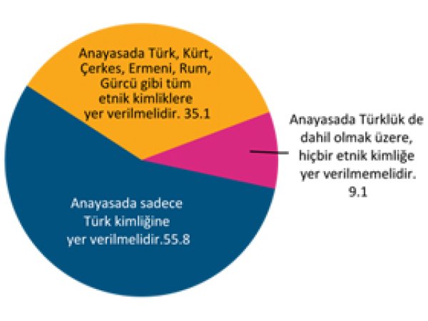 Toplumun Başörtü ve Kürtçe Eğitime Dair Görüşleri