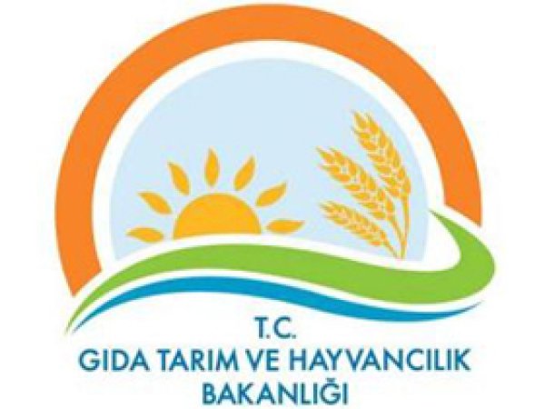 15 Bin Fırıncıya Eğitim Verildi 