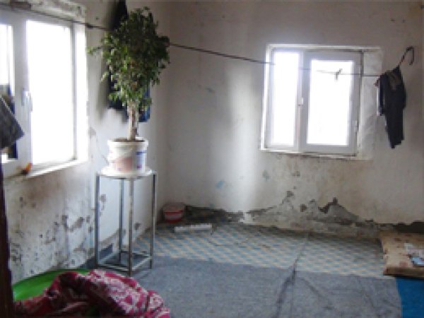 Harabe Evde Yaşam Mücadelesi