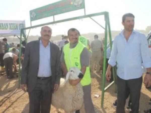 İlk Kurbanlar Kesildi