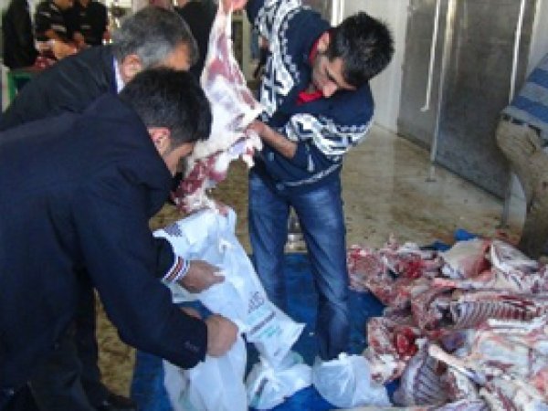 Binlerce Mağdura Kurban Eti Dağıtıldı