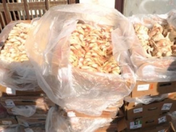 Diyarbakır'da Bozuk Tavuk Eti Ele Geçirildi 
