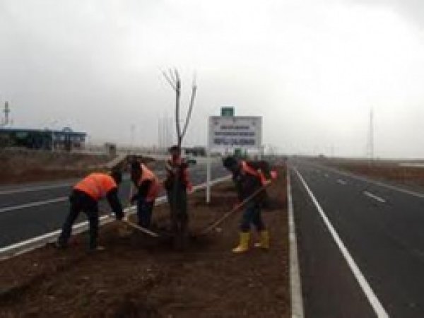 Şanlıurfa'da Yol Çalışması Sona Gelindi 