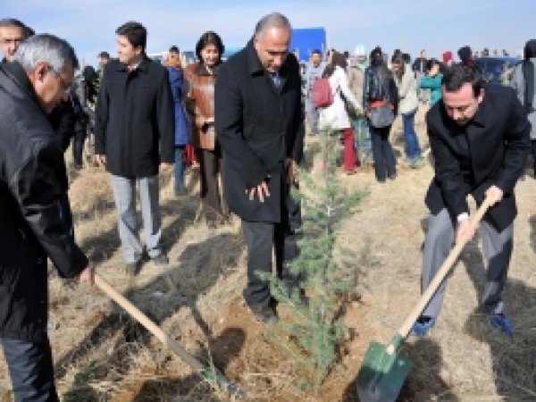 Öğretim Üyeleri Ve Öğrenciler Birlikte Fidan Dikti  
