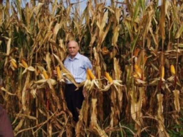 "GAP Devreye Girdikçe Tarımsal Üretim Artıyor" 