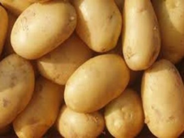 Patateste Fiyat İstikrarsızlığı Halkı Mağdur Ediyor 