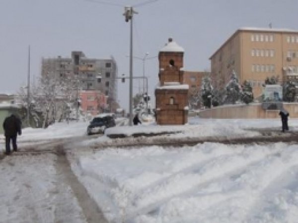 Çınar Dondurucu Soğuk 
