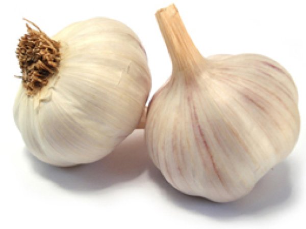 Kansere Karşı Sarımsak