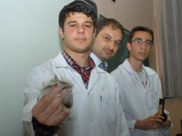 Denizlerdeki Petrol Kirliliğine Çözüm; Tavuk Tüyü