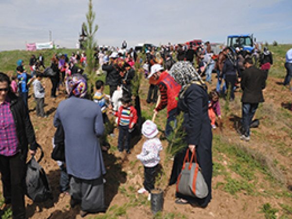 Minikler Fidan Dikti