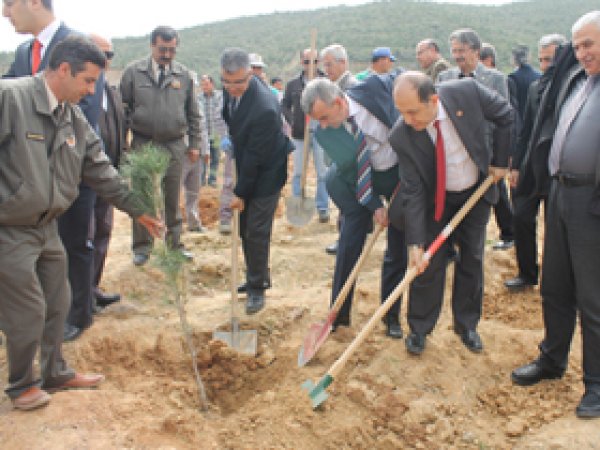 Çöp Alanı Yeşil Alana Çevriliyor