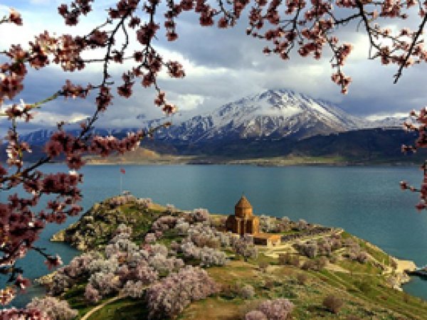 Akdamar Adası 'Çiçek' Açtı