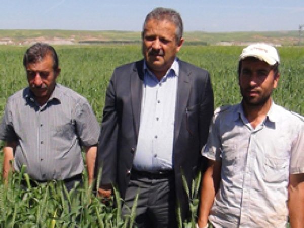 Batmanlı Çiftçilerin Yüzü Gülüyor