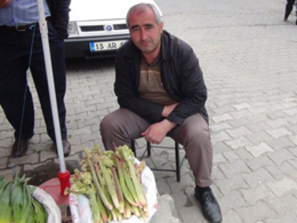 Yayla Muzu Altınla Yarışıyor