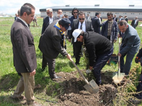 STK'lardan Üniversitede Ağaç Dikimi