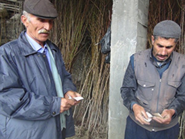 Ekmek Fiyatına Fidan Satıldı