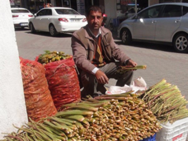 Uçkun ve Mantara Halk Bakıp Geçmekle Yetiniyor