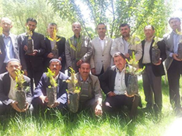 'Senin de Dikili Bir Ağacın Olsun' Kampanyası