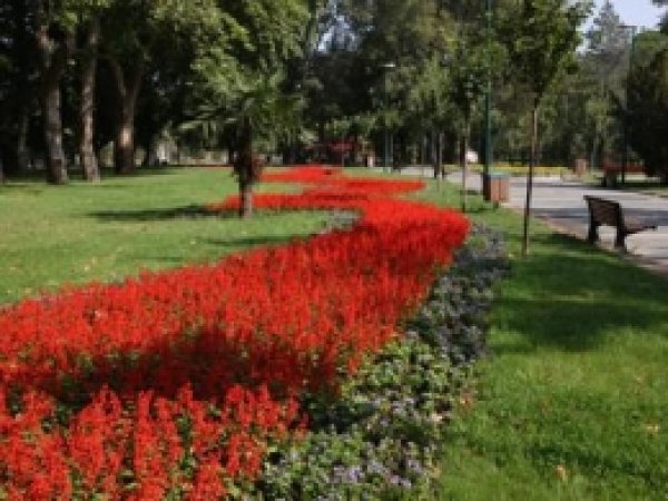 81 İle 150 Yeni Park Yapılacak 