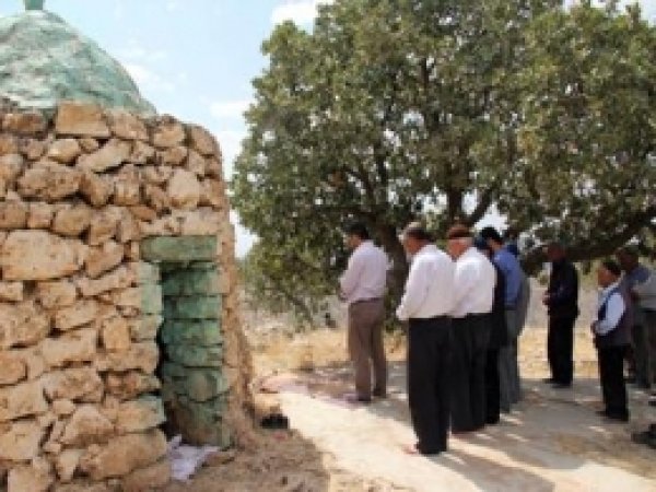 Gercüş'te Şeyh Sultan'ı Anma Etkinliği