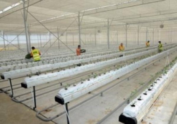Çöplükten Elde Edilen Elektrik