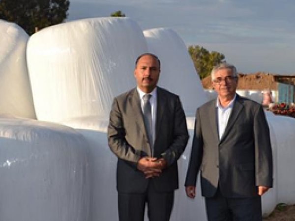 Üretilen Mısır Silajı İhraç Edilmeye Başlandı 