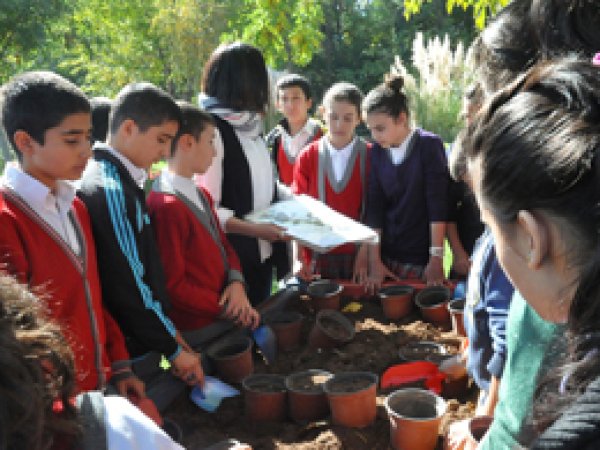 Öğrenciler Bitkilerle Buluşturuldu 