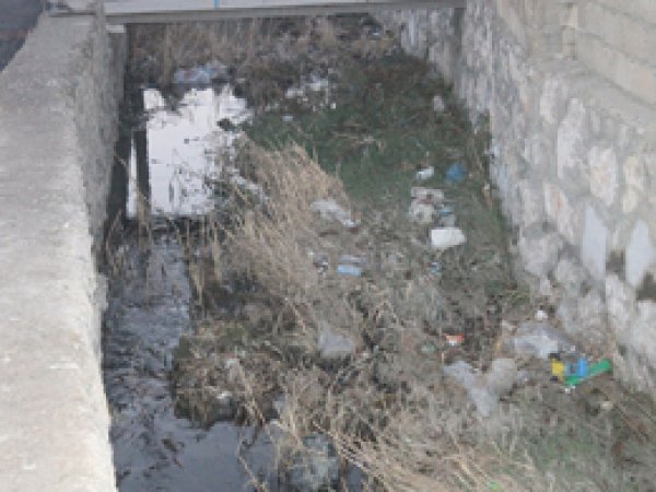 Van'daki Dere Mikrop Saçıyor 