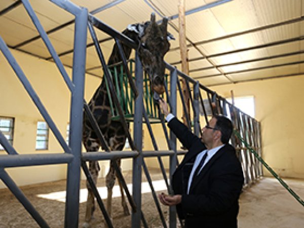 Hayvanat Bahçesinde Kış Hazırlıkları