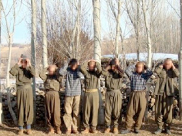 Şırnak'ta 8 PKK'lı  Daha Teslim Oldu 