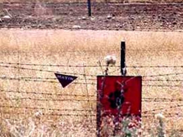 Sivas'ta Orman İşçileri Mayına Bastı: 1 Ölü