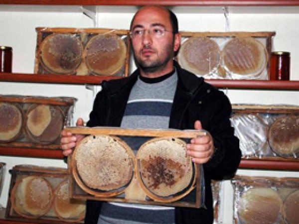 Bitlisli Bal Üreticilerinden İthal Bal Tepkisi 