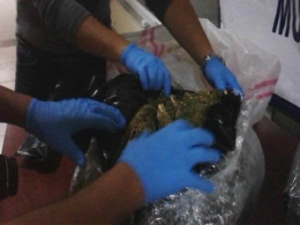Batman'da 15 Kilo Esrar Ele Geçirildi 