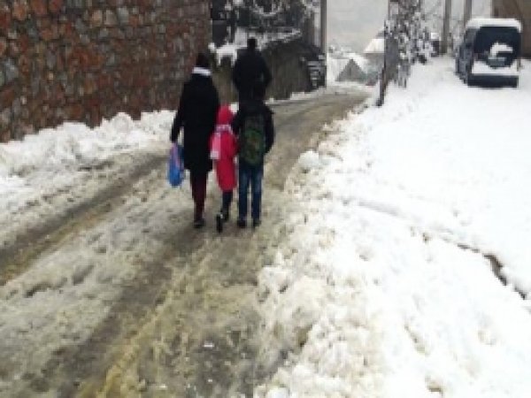 Kar Bitlis'i Esir Aldı 