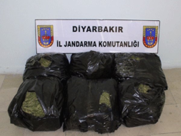 Diyarbakır’da 523 Kilo Esrar Yakalandı