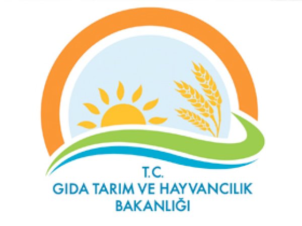 'Domuz sayısının arttığı iddiası asılsızdır'