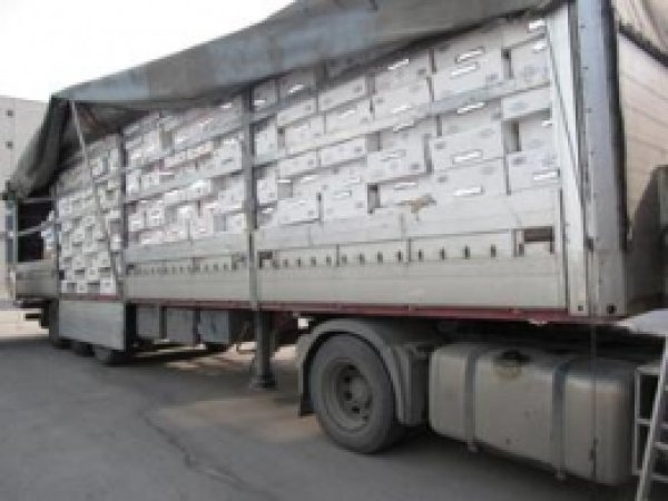 TIR Baskınında 89 Bin Paket Sigara Yakalandı 