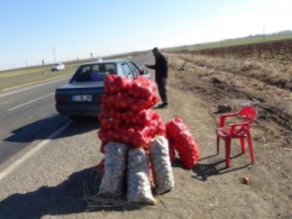 Çiftçinin Yetiştirdiği Soğanlar Ellinde Kaldı 