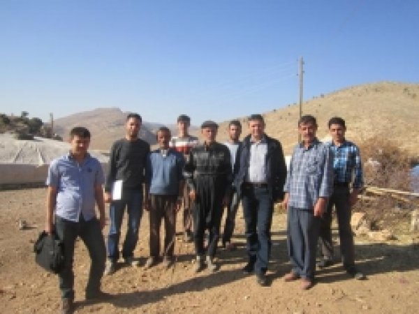 DÜ Ziraat Fakültesi Sığır İşletmelerinin Sorunlarını Araştırdı 