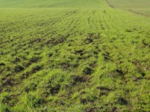 Tarım Ürünleri Üretici Fiyat Endeksi Yüzde 2,78 Arttı 