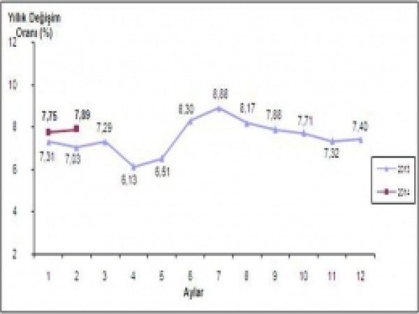 Tüketici Fiyat Endeksi Aylık Yüzde 0,43 Arttı 
