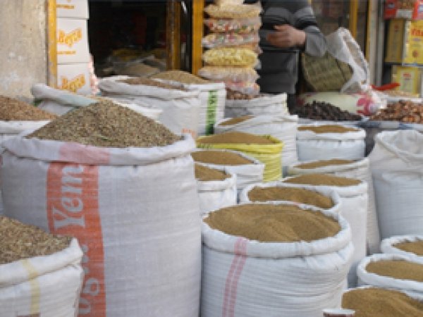 Van'da Tohum ve Fide Satışları Başladı  