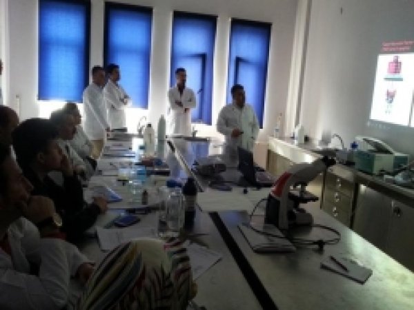 Kursiyerler TUNEL Apoptoz Testinde Bilgilendirildi  