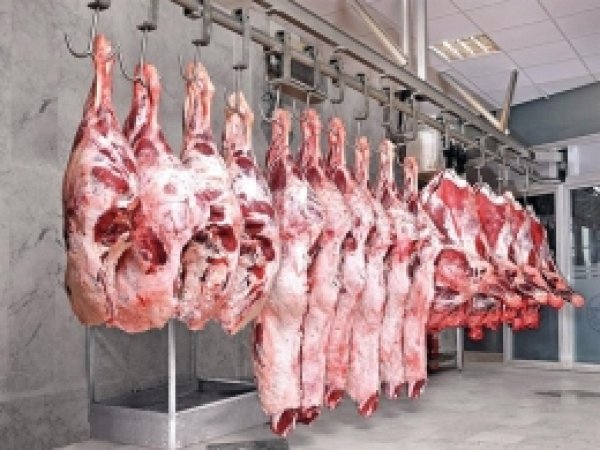 Kırmızı Et Üretimi Azaldı 