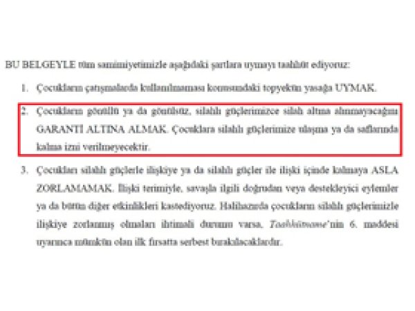 Mazlum Der'den Cenevre Çağrısı Hatırlatması 