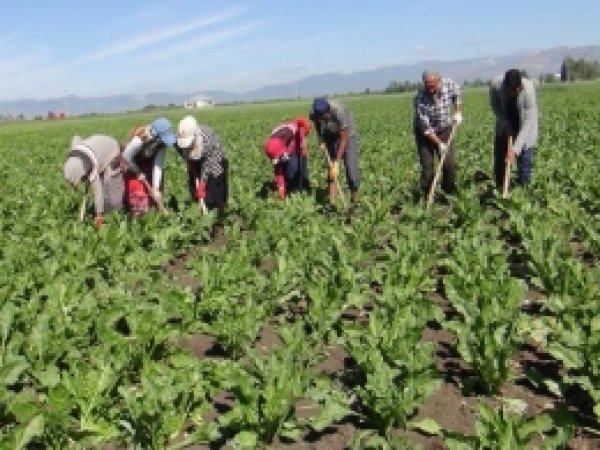 Devlet Emeğimizin Karşılığını Vermiyor!