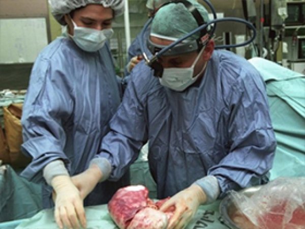 Organ Mafyası Lideri Kıbrıs'ta Yakalandı